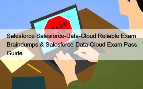 Salesforce Salesforce-Data-Cloud Reliable Exam Braindumps & Salesforce-Data-Cloud Exam Pass Guide