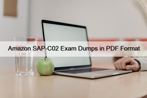 Amazon SAP-C02 Exam Dumps in PDF Format