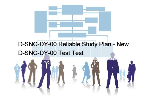 D-SNC-DY-00 Reliable Study Plan - New D-SNC-DY-00 Test Test